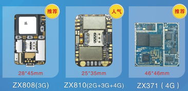十年專注，領航未來 一家GPS電子寵物研發企業的創新之路
